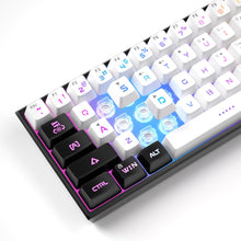 Load image into Gallery viewer, Black White/Mini 60% Gaming Keyboard/Upgrade RGB Backlit 61 Key Ultra-Compact Keyboard
