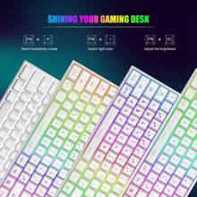 Load image into Gallery viewer, White/Mini 60% Gaming Keyboard/Upgrade RGB Backlit 61 Key Ultra-Compact Keyboard
